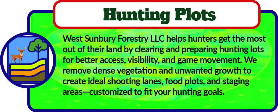 West Sunbury Forestry Mulching helps hunters get the most out of their land by clearing and preparing hunting lots for better access, visibility, and game movement. We remove dense vegetation and unwanted growth to create ideal shooting lanes, food plots, and staging areas—customized to fit your hunting goals.