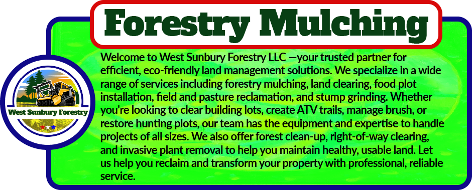 Welcome to West Sunbury Forestry Mulching —your trusted partner for efficient, eco-friendly land management solutions. We specialize in a wide range of services including forestry mulching, land clearing, food plot installation, field and pasture reclamation, and stump grinding. Whether you're looking to clear building lots, create ATV trails, manage brush, or restore hunting plots, our team has the equipment and expertise to handle projects of all sizes. We also offer forest clean-up, right-of-way clearing, and invasive plant removal to help you maintain healthy, usable land. Let us help you reclaim and transform your property with professional, reliable service.