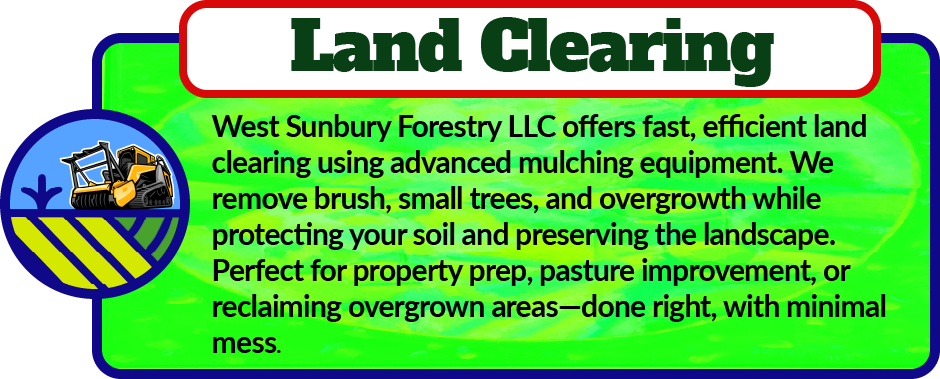 At West Sunbury Forestry Mulching, we provide efficient, eco-friendly land clearing solutions tailored to your property needs. Whether you're preparing for construction, improving pastureland, or managing overgrown areas, our state-of-the-art forestry mulching equipment allows us to clear unwanted brush, small trees, and undergrowth without disturbing the soil or leaving behind unsightly debris piles. Our experienced team is committed to preserving the natural landscape while maximizing usable land space, making us the trusted choice for landowners, developers, and farmers across the region. Fast, reliable, and environmentally conscious—let us help you reclaim your land the right way.