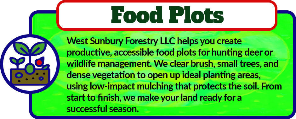 West Sunbury Forestry Mulching helps you create productive, accessible food plots for hunting or wildlife management. We clear brush, small trees, and dense vegetation to open up ideal planting areas, using low-impact mulching that protects the soil. From start to finish, we make your land ready for a successful season.