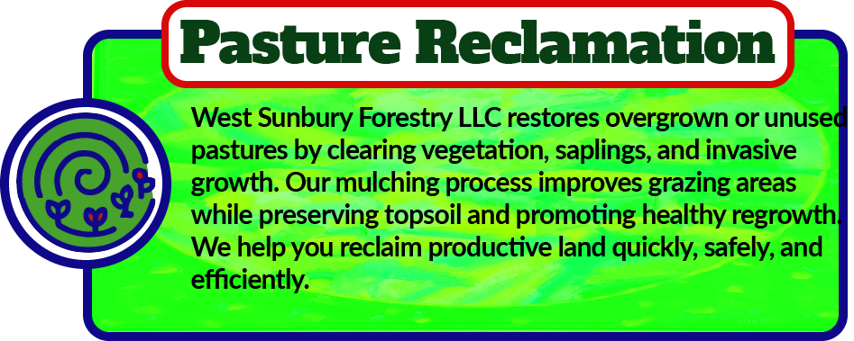 West Sunbury Forestry Mulching restores overgrown or unused pastures by clearing brush, saplings, and invasive growth. Our mulching process improves grazing areas while preserving topsoil and promoting healthy regrowth. We help you reclaim productive land quickly, safely, and efficiently.