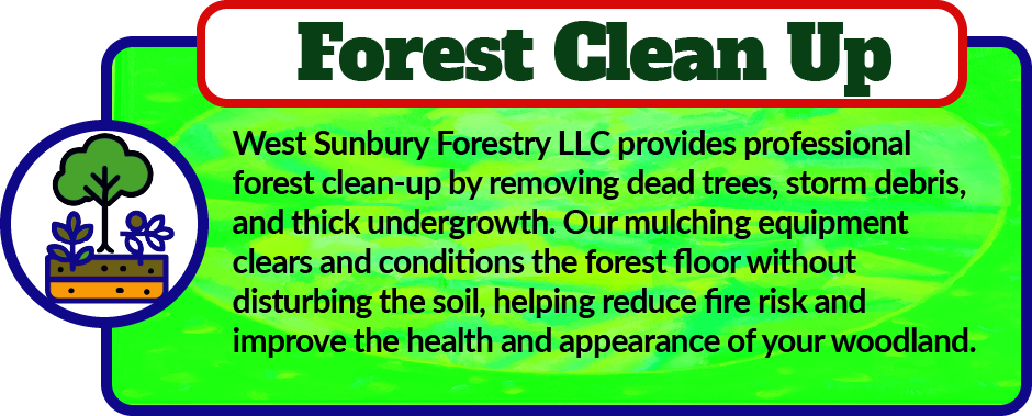 West Sunbury Forestry Mulching provides professional forest clean-up by removing dead trees, storm debris, and thick undergrowth. Our mulching equipment clears and conditions the forest floor without disturbing the soil, helping reduce fire risk and improve the health and appearance of your woodland.