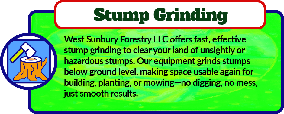 West Sunbury Forestry Mulching offers fast, effective stump grinding to clear your land of unsightly or hazardous stumps. Our equipment grinds stumps below ground level, making space usable again for building, planting, or mowing—no digging, no mess, just smooth results.