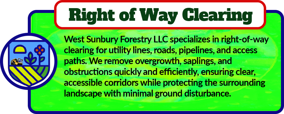 West Sunbury Forestry Mulching specializes in right-of-way clearing for utility lines, roads, pipelines, and access paths. We remove overgrowth, saplings, and obstructions quickly and efficiently, ensuring clear, accessible corridors while protecting the surrounding landscape with minimal ground disturbance.